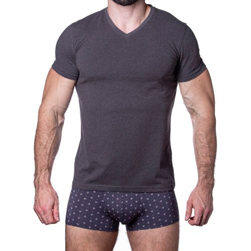 Мужская футболка темно-серая Sergio Dallini SDT751-3