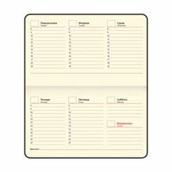 Еженедельник недатированный BRAUBERG "Iguana" А6 под кожу 64 листов (114481) 2