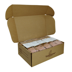 Чай Tasteabrew МАЛИНОВЫЙ МОХИТО (для чая со льдом)