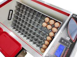 Мульти инкубатор ВЕСНА "Первая", на 77 куриных яиц