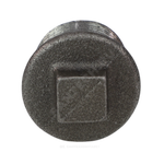 Заглушка чугун Ду 25 (1") НР Fittex PLUS