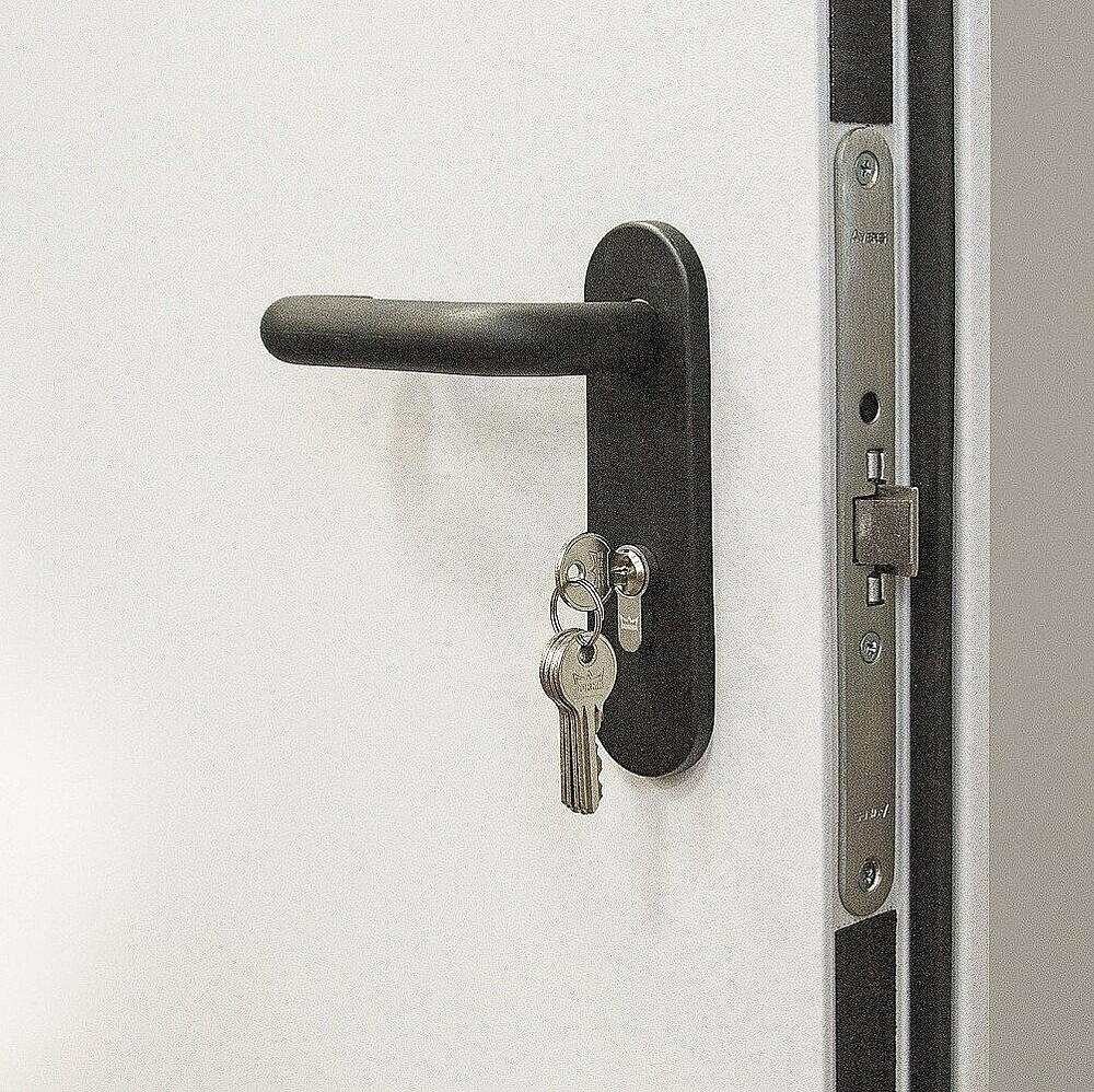 Дверь противопожарная ДП-1 Bravo EI60 205*98 левое открывание