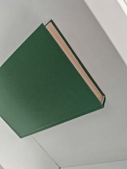 Письма из деревни. Очерки о крестьянстве в России второй половины XIX века