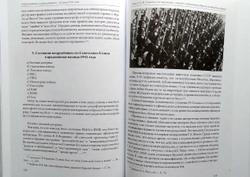 "Малой кровью, могучим ударом!" 22 июня 1941 года