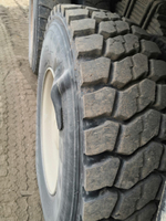 Shacman (Shaanxi) SX* 8x4 Самосвал SX33186V366 (Дизельный, 11,6 л, 423 л.с., МТ)