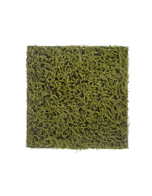 Мох Сфагнум Fuscum оливково-зелёный (полотно на подложке) 50х50 см 48/48 20.0820412S