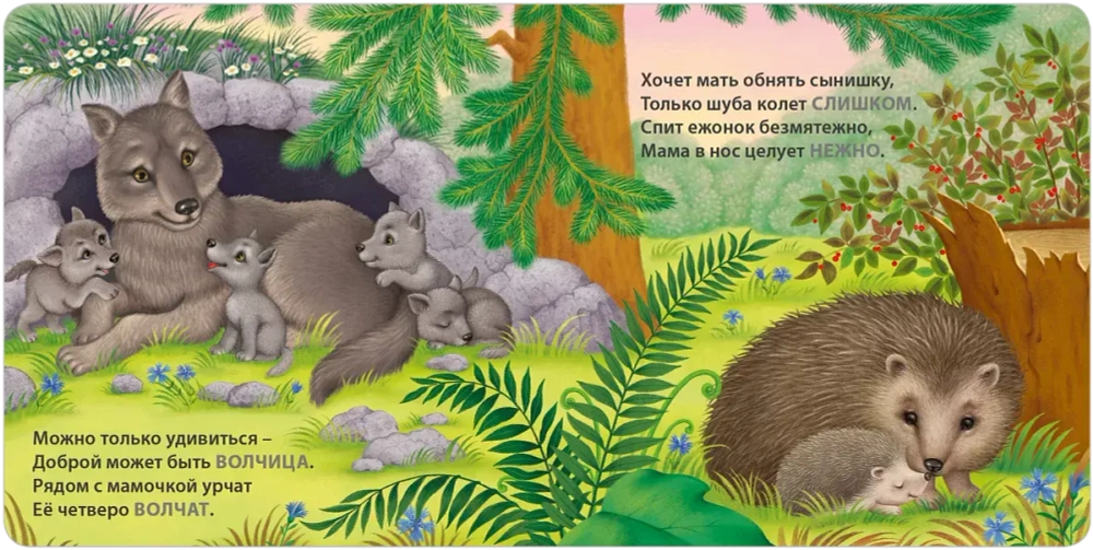 Книжки - картонки. Мамы и малыши. Дикие животные. Загадки - рифмы