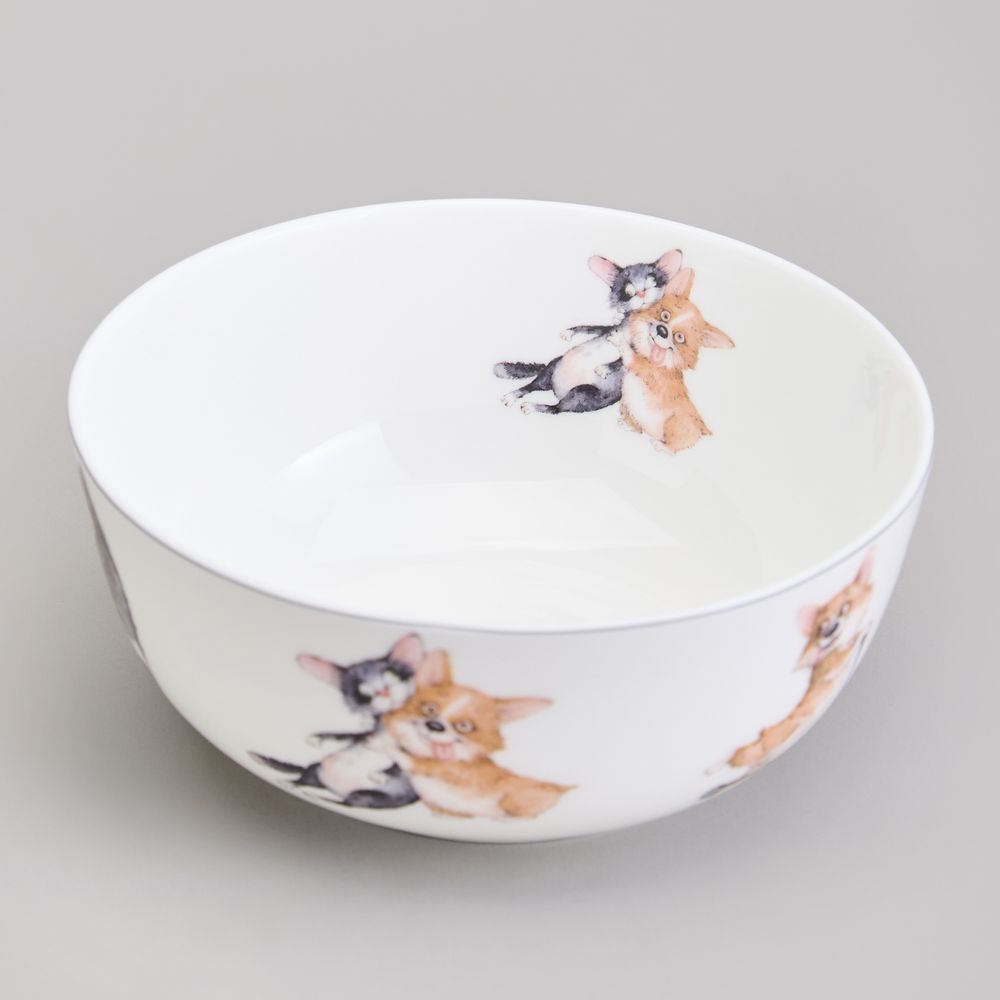 САЛАТНИК - ТАРЕЛКА СУПОВАЯ LEFARD "ЛУЧШИЕ ДРУЗЬЯ" 15,5*7 СМ 800 МЛ (КОР=24ШТ.)