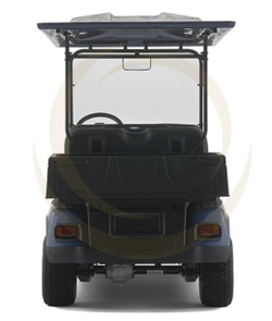 Гольфкар EWAY HM4-1