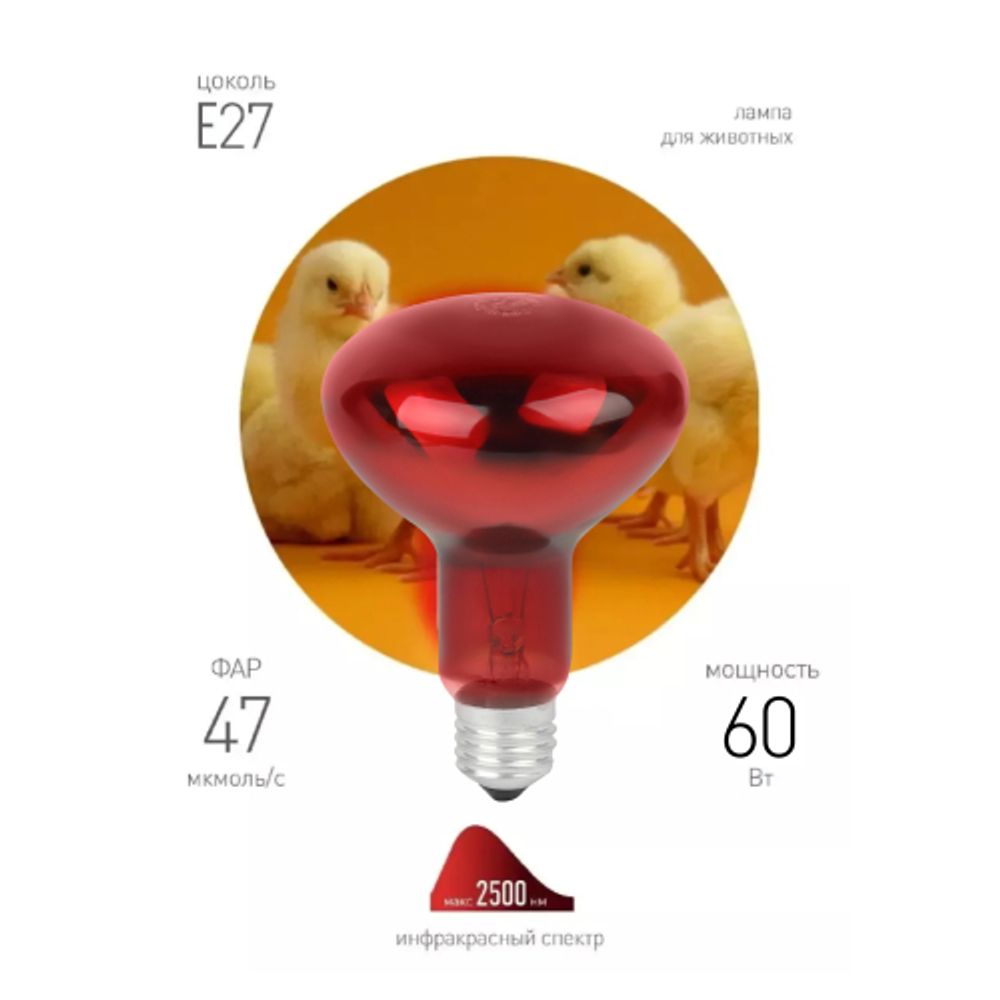 Комплект из 2-х инфракрасных ламп ЭРА ИКЗК 230-60 R63 E27 для курятника цыплят птиц животных/лампа для обогрева | Инфракрасные лампы