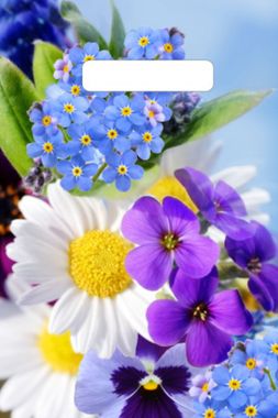 Полиэтиленовый пакет с вырубной ручкой 19,5х25 см Яркое лето