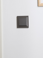 BRITE Рамка 1-местная IP44 РУ-1-БрС-44 сталь IEK