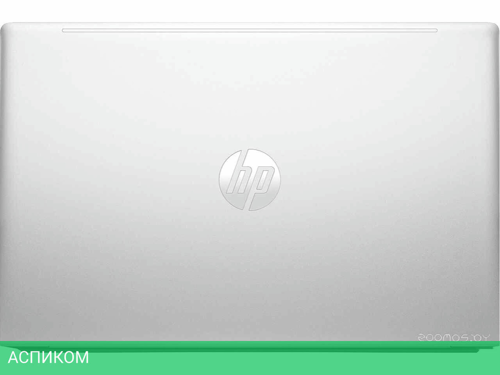 Ноутбук HP ProBook 450 G10 816J2EA