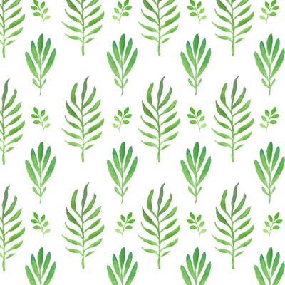 Тропики в листьях