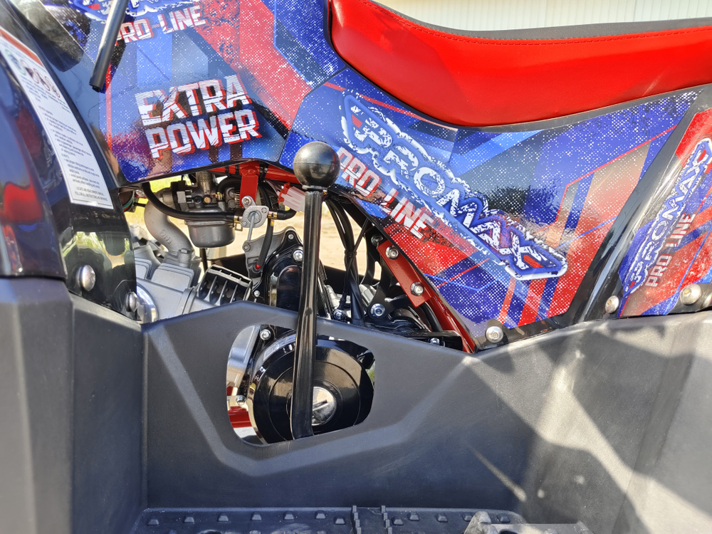 Квадроцикл PROMAX WILD 175 BASIC