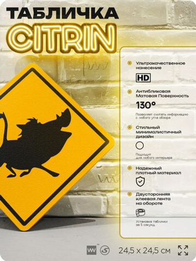 Табличка "Осторожно, Пумба" шуточная прикольная табличка на дверь и стену, для офиса и дома, декоративный знак, 24,5х24,5 см, пластиковая, Айдентика Технолоджи