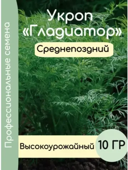 Укроп среднепоздний на зелень Гладиатор 10 гр