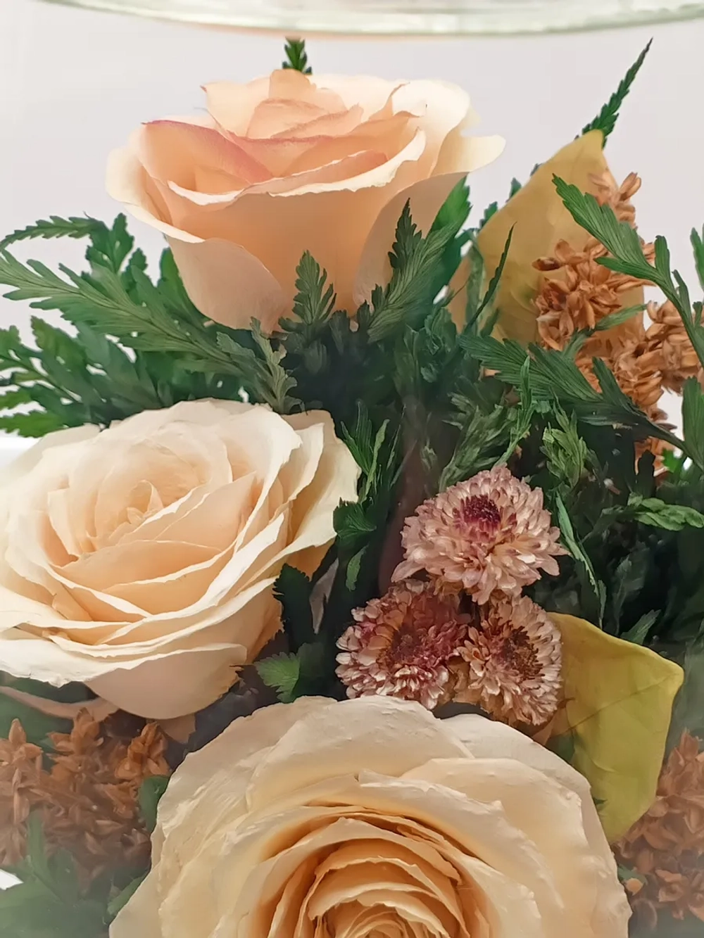 натуральные розы в стекле, вакуум