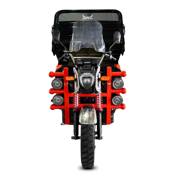 Грузовой электрический трицикл WHITE SIBERIA SIBTRIKE CARGO 1.8 3000W (60V/62Ah) фото №9