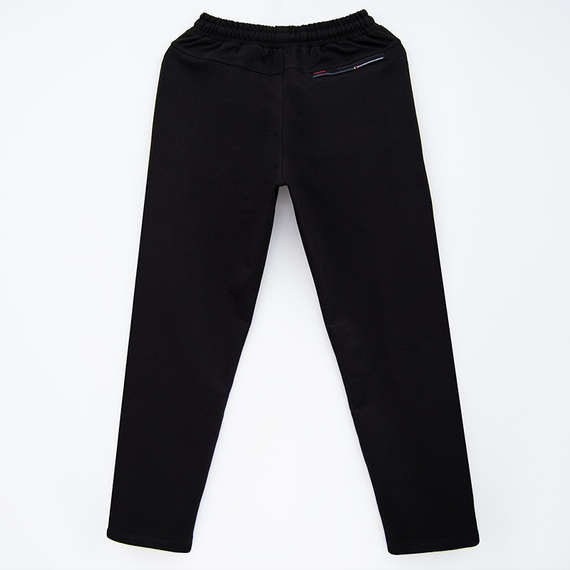 Спортивные брюки &quot;Avic&quot;