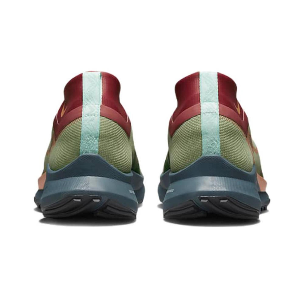 Мужские кроссовки Nike Pegasus Trail 4 Gore-tex 'Alligator' DJ7926-300