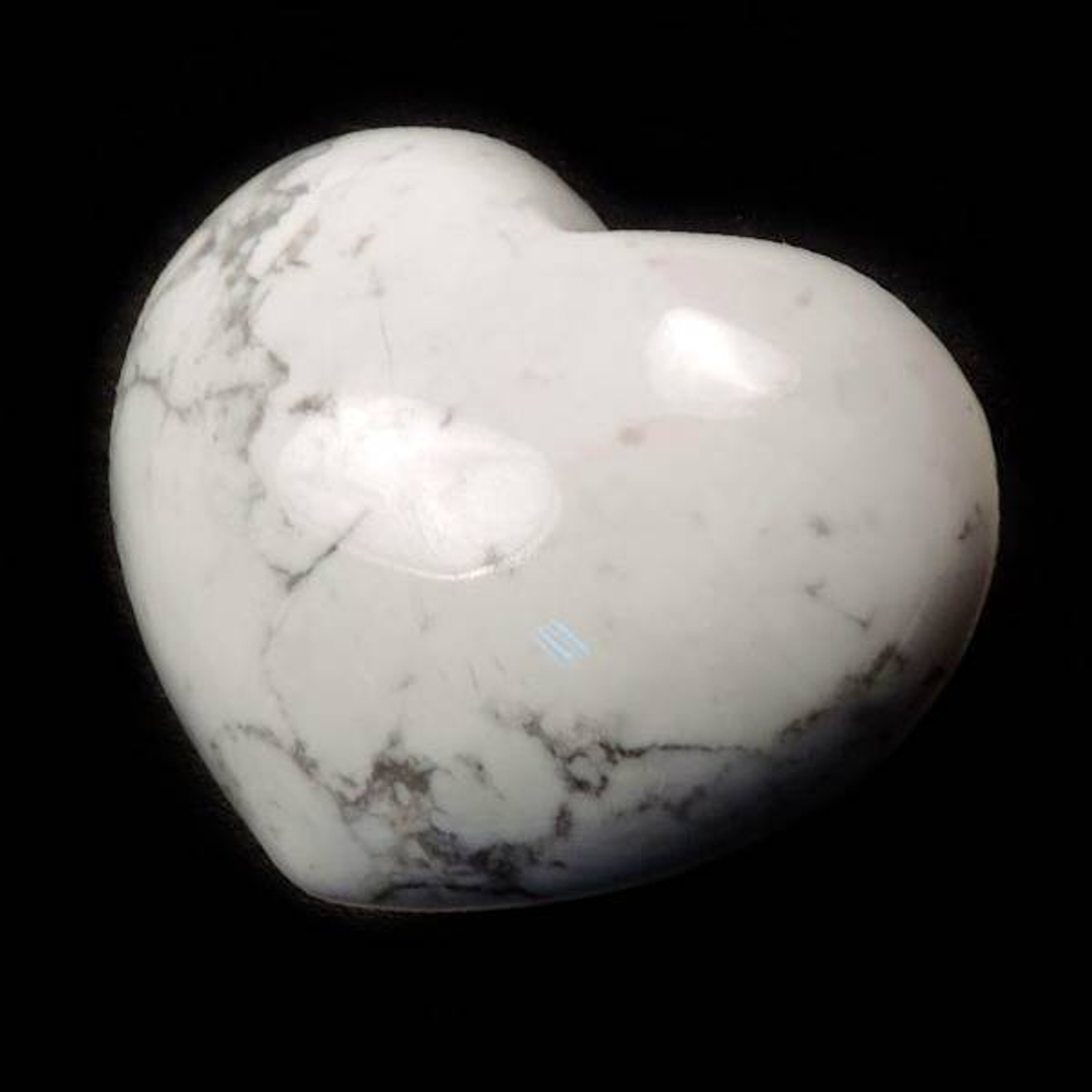 Сердце говлит(каулит) асс.