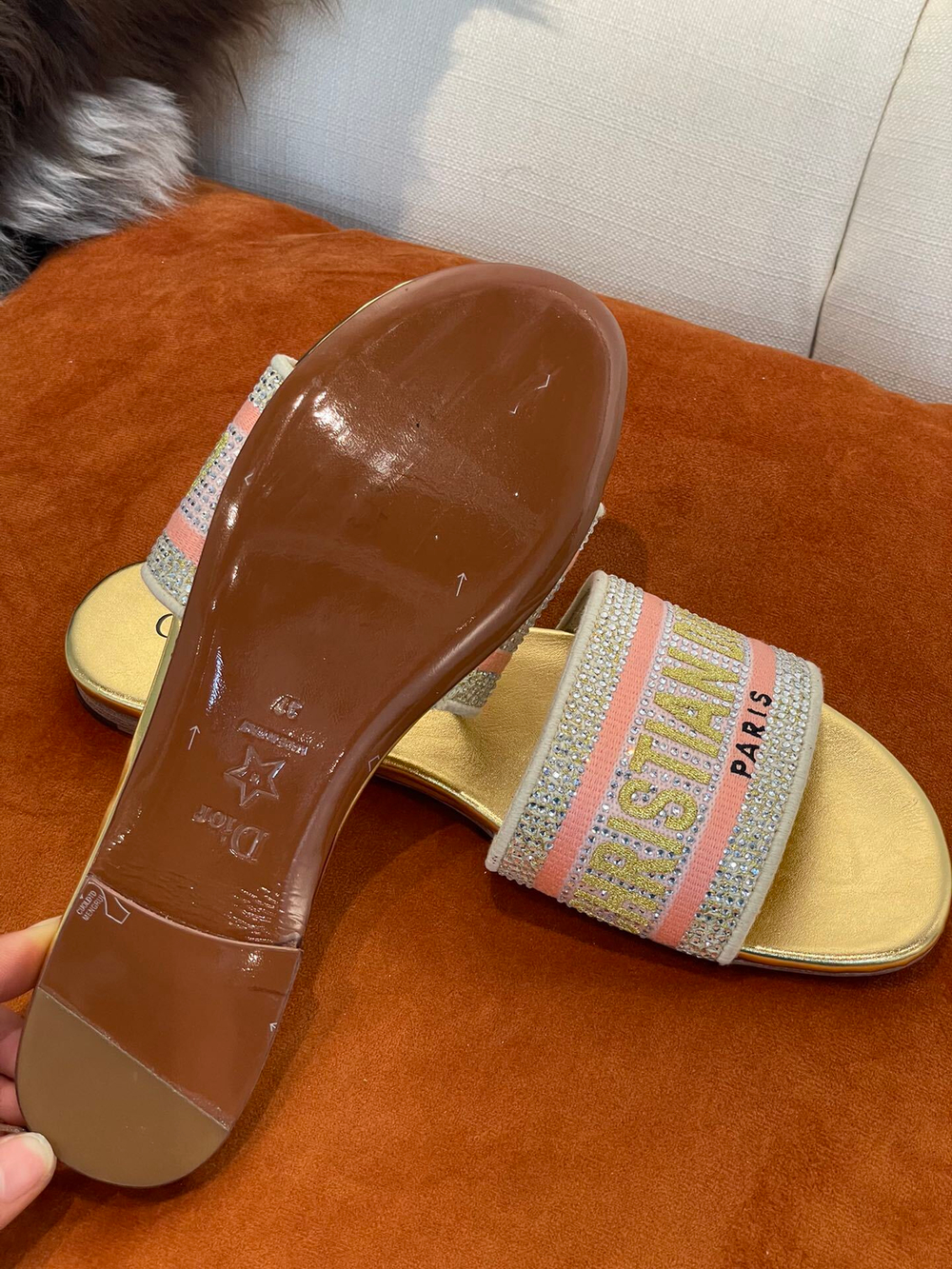 Christian Dior Dway Slide