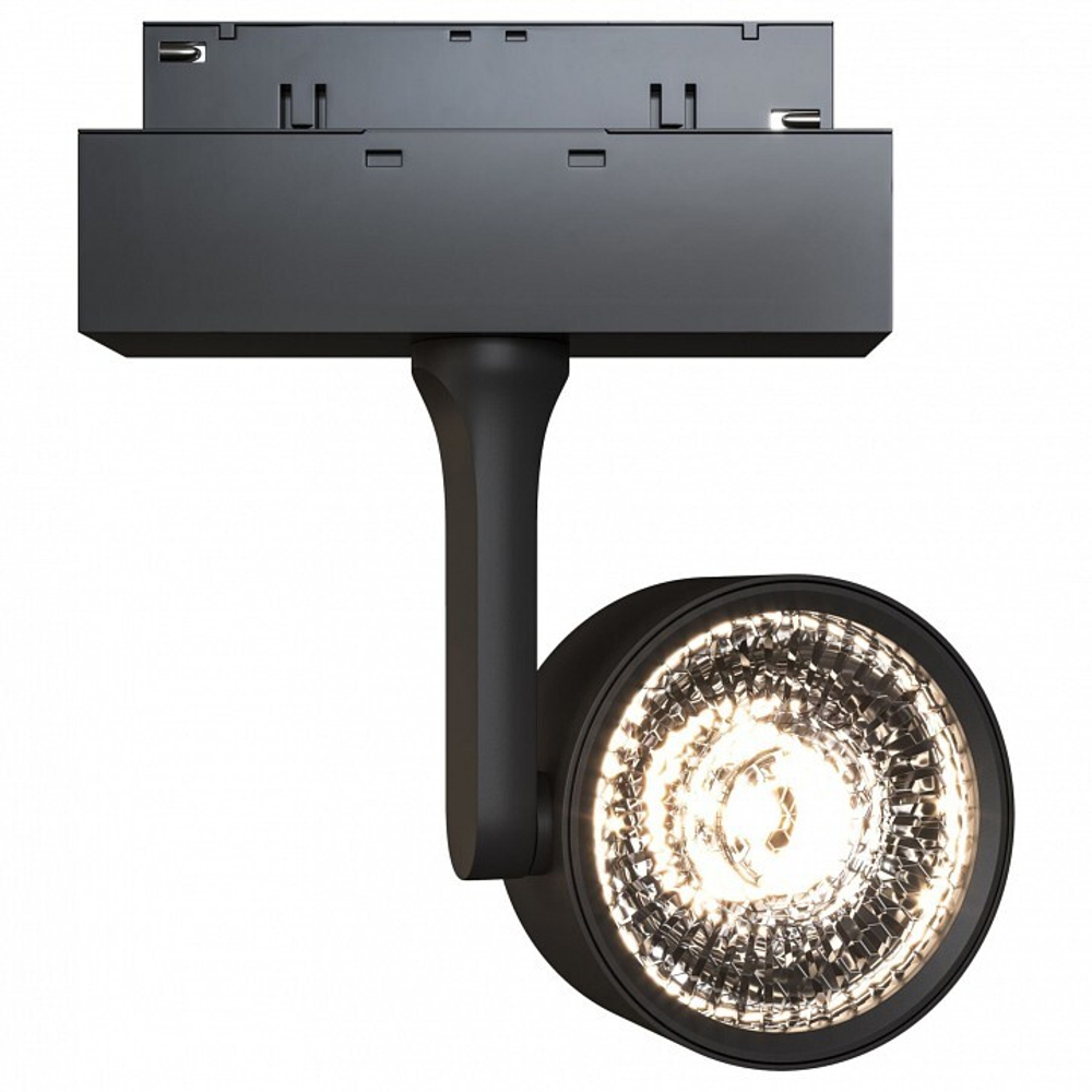 Трековый светильник Maytoni Technical TR024-2-10B3K