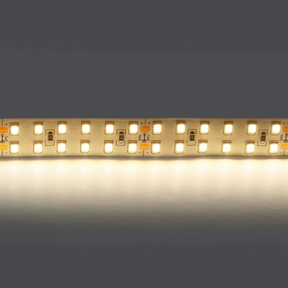 Светодиодная лента Lightstar 24W/m 240LED/m дневной белый 5M 421504