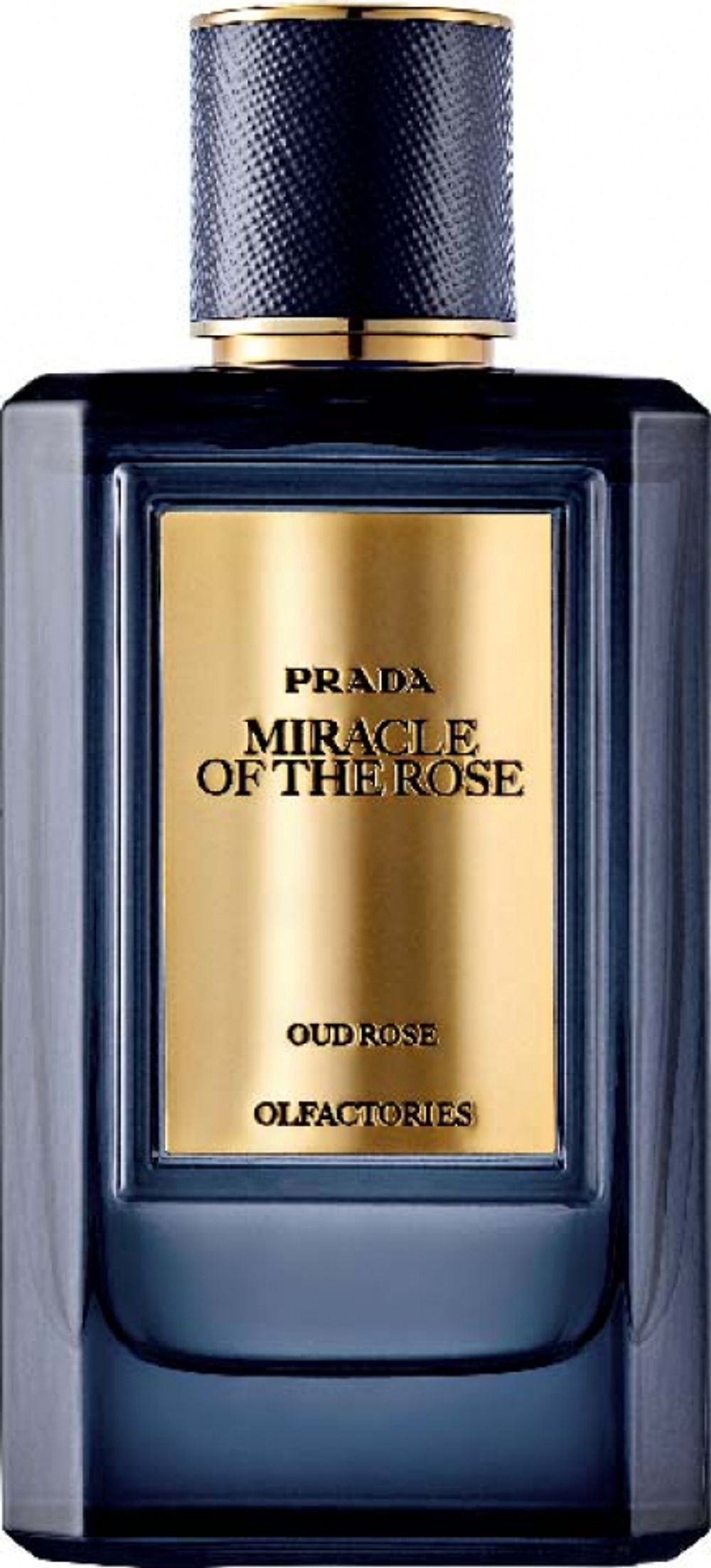 PRADA Miracle Of The Rose