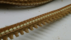 Рант обувной кожаный артикул 131522