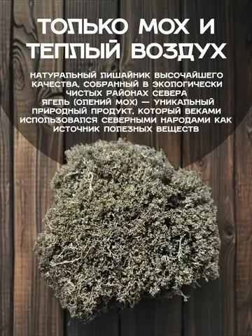 Ягель олений мох (кладония)