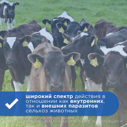 Суспензия для приёма внутрь для лечения паразитарных болезней у сельскохозяйственных животных и птиц Празивер (Apicenna), 200мл Празиквантел/Ивермектин