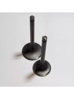 Клапаны LF120, YX125, YX140 стандартные d=23/27