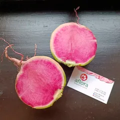 Редька арбузная красная / 500 гр Редька арбузная красная / 500 гр