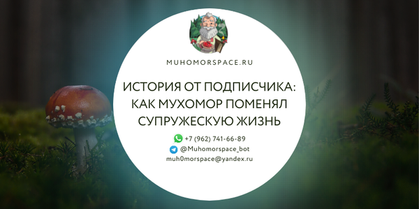 История от подписчика: Как мухомор поменял нашу супружескую жизнь.