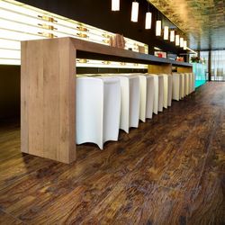 Eastern Hickory 57885