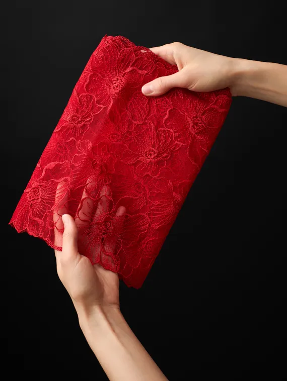 05-172 Вышивка на неэл. сетке 25 см, красный 100