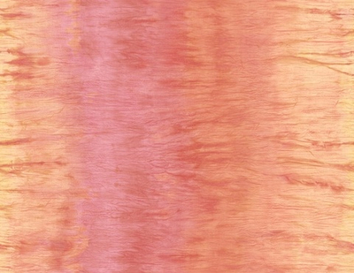 Обои Carl Robinson Edition 2 24411 CB