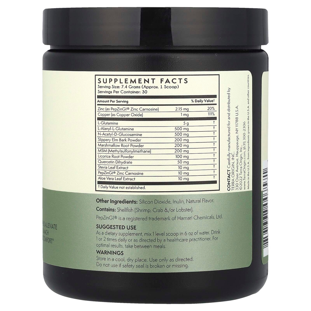 Terra Origin, Healthy Gut™, со вкусом мяты, 222 г (7,83 унции)