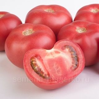 Томат Мамстон F1 10 (семян)