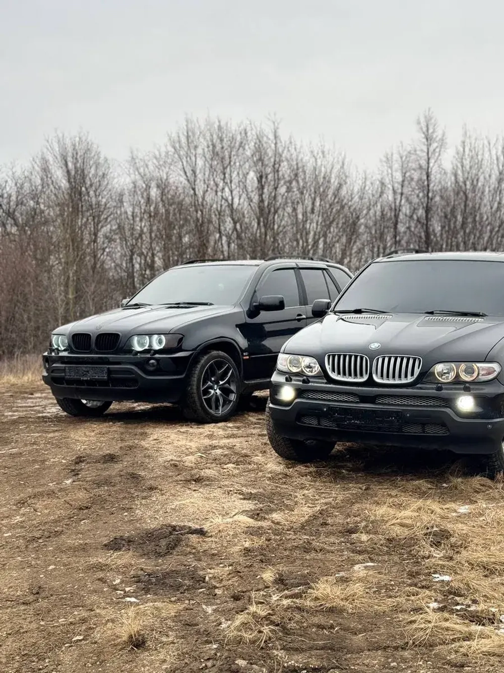 Ангельские глазки BMW X 5 E 53 ( Белые) Дорест
