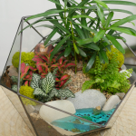 Готовый флорариум Роща подокарпусов Икос с озером