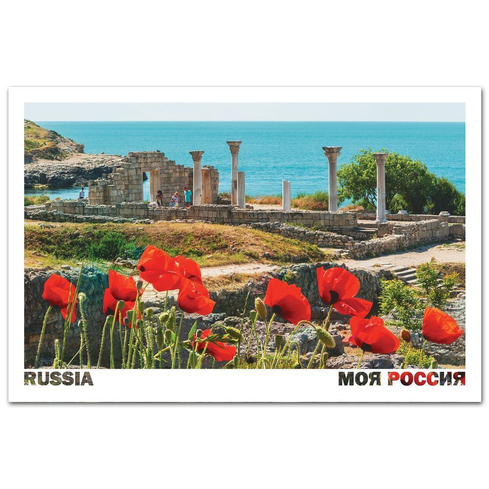 Маки Херсонеса, Крым