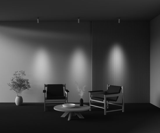 Потолочный светильник Technical C055CL-L12W2.7K-W-PT