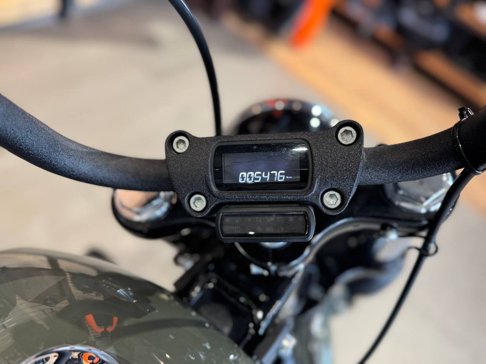 Harley-Davidson Street Bob, 2021 (Deadwood Green)