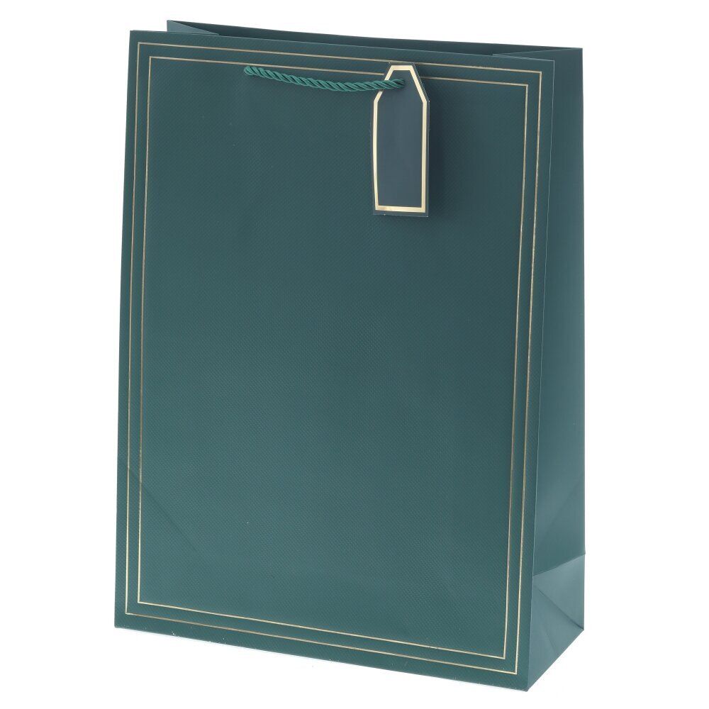 GAEM Пакет подарочный L (бумага 210г/м2, блок 12шт), L31 W12 H42 см, 10в.