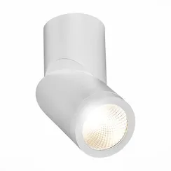 ST650.542.10 Светильник потолочный Белый LED 1*10W 4000K 800Lm Ra>90 38° IP44 D62xH151 165-265V Накладные светильники