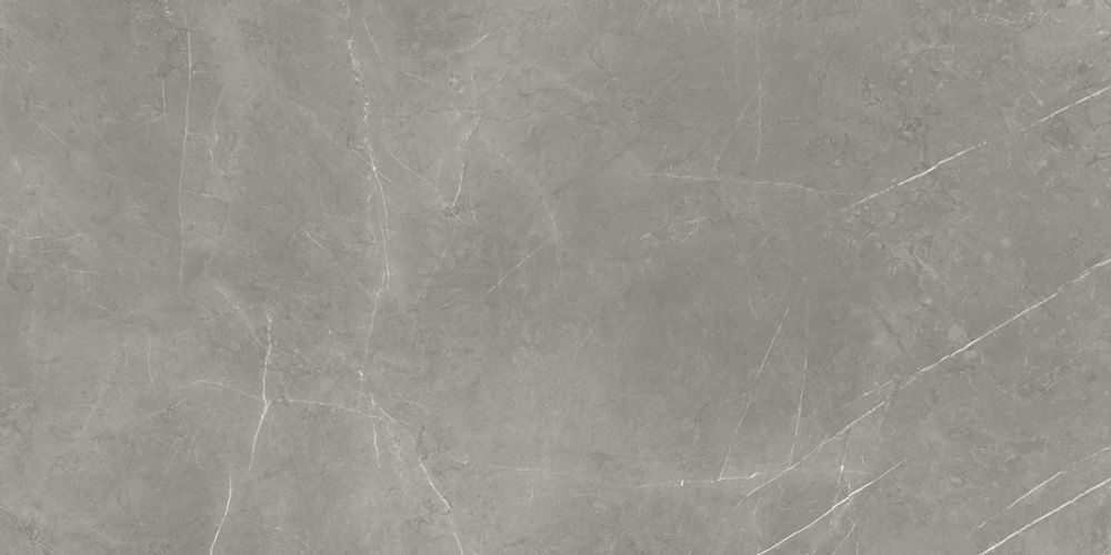 Керамогранит Forte Dei Marmi Elegant Grey Honed Satin 60x120