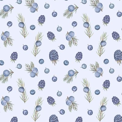 Можжевельник, ежевика и черника на голубом